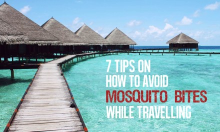 7 Tips that help to avoid Mosquito-Borne Diseases during Outdoor Trips