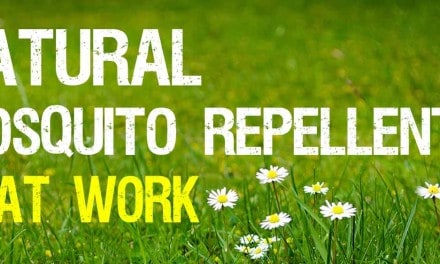 Natural mosquito repellents that work