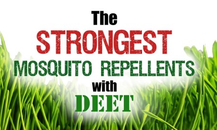 Strongest mosquito repellents with DEET