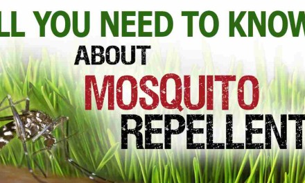 The Best Mosquito Repellent: Ultimate Guide