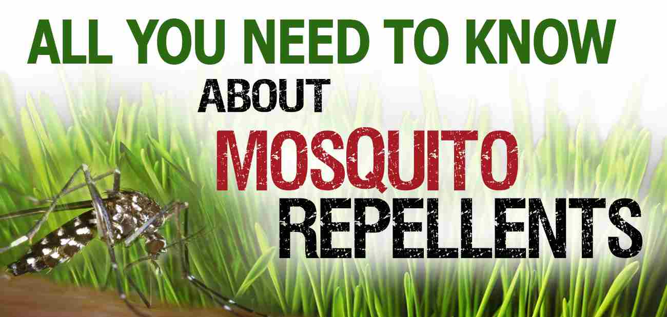 best mosquito repellent Mosquito repellent Ultimate Guide