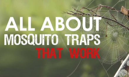 Mosquito Traps That Work: Discover the best recommendations for Mosquito Control
