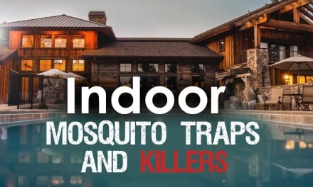 Indoor Mosquito Traps: The Best Mosquito Killers for Your Home