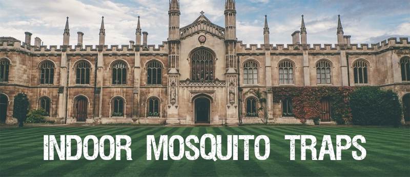 indoor mosquito traps Mosquito traps for indoor use