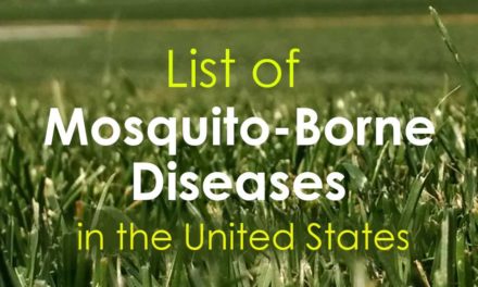 List of Mosquito-Borne Diseases in the USA