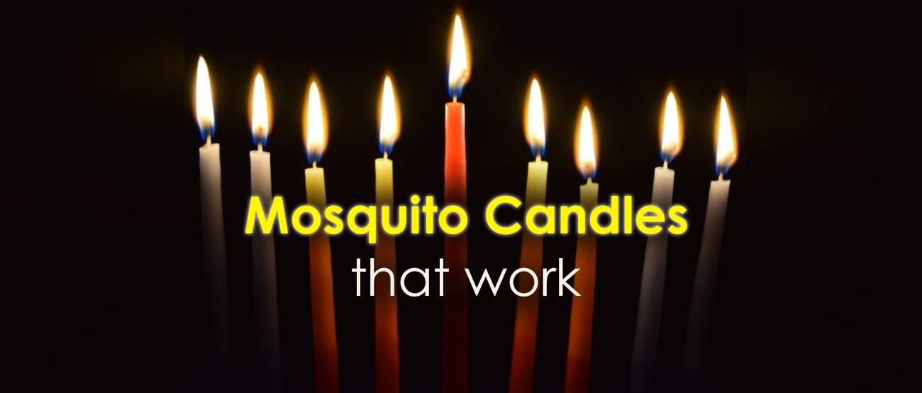mosquito candles review The best candles against mosquitoes.