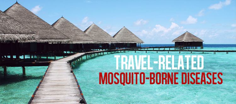 mosquito diseases travelling Mosquito-borne Diseases in other countries.