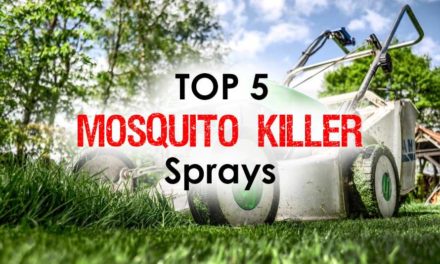 Mosquito Killer Sprays: Discover the Top 5 Life Safers for Immediate Results