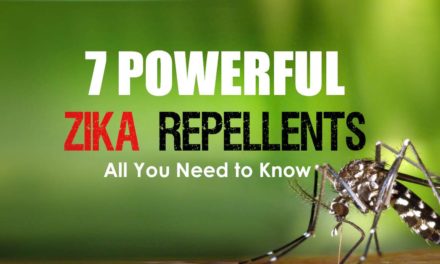 7 Powerful Repellents that prevent Zika