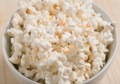 types of indoor catchers think of popcorn when you choose your mosquito catcher