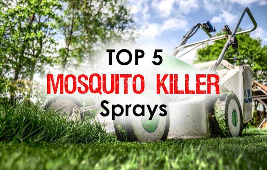 Mosquito Sprays Discover The Top 5 Life Safers For Immediate Mosquito Sprays Discover The Top 5 Life Safers For Immediate Results Mosquitofi